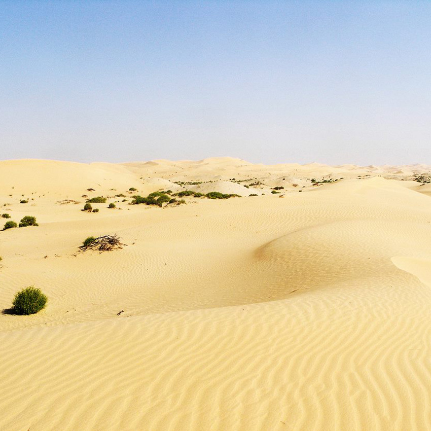 low-quality-sandy-soil-emirates-soil-museum